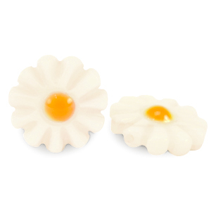 Muschel-Perlen S&uuml;&szlig;wasserperlmutts Blume White-yellow orange