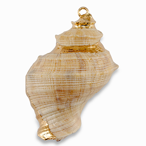 Muschel Anh&auml;nger Specials Beige-gold