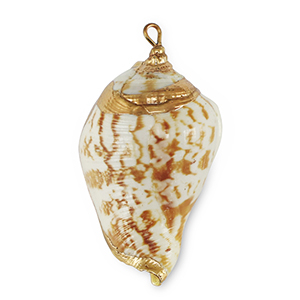 Muschel Anh&auml;nger Specials Light brown-gold