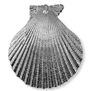 Muschel Anh&auml;nger Specials Jakobsmuschel Silver