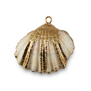 Muschel Anh&auml;nger Specials Jakobsmuschel White-gold