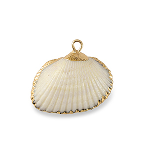 Muschel Anh&auml;nger Specials Jakobsmuschel White-gold