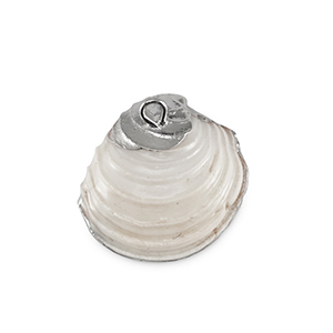 Muschel Anh&auml;nger Specials Creamy white-silver