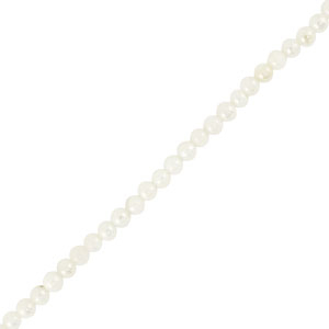 Muschel Perlen Rund White
