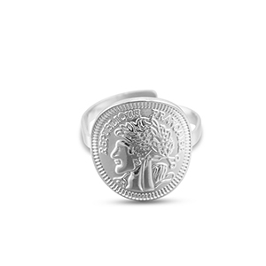 Ringe aus Stainless Steel - Rostfreiem Stahl M&uuml;nze Silver
