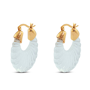 Trendy Resin Ohrringe Oval Gold-transparent