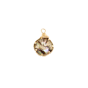 Resin Anh&auml;nger mit Imitation Muschel Rund Gold-taupe