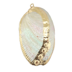 Muschel Anh&auml;nger Specials Pearl-gold