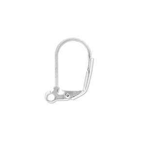 Stainless Steel - Rostfrei Stahl Schmuckzubeh&ouml;r Ohrh&auml;nger verschliessbar mit &Ouml;se Silver
