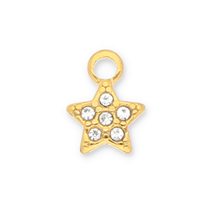 Stainless Steel - Rostfrei Stahl Anh&auml;nger Stern mit Strass Gold-transparent