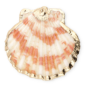 Muschel Anh&auml;nger Specials Jakobsmuschel Dark pink-gold