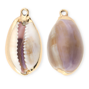 Muschel Anh&auml;nger Specials Kauri Purple-brown-gold